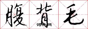 腹背毛怎么写好看