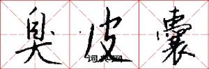臭皮囊怎么写好看