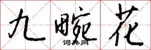 九畹花怎么写好看