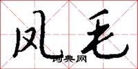 凤毛怎么写好看