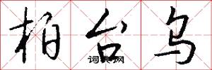 柏台乌怎么写好看