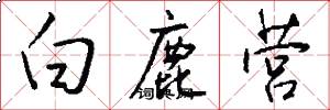 白鹿营怎么写好看