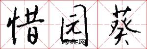惜园葵怎么写好看