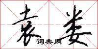 袁娄怎么写好看