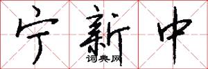 宁新中怎么写好看