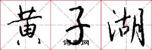 黄子湖怎么写好看