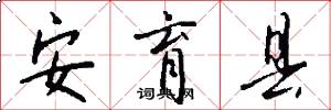 安育县怎么写好看