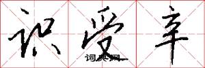 识受辛怎么写好看