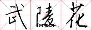 武陵花怎么写好看