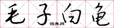 毛子白龟怎么写好看