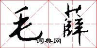 毛薛怎么写好看