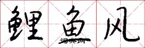 鲤鱼风怎么写好看