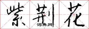 紫荆花怎么写好看