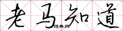 老马知道怎么写好看
