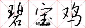 碧宝鸡怎么写好看