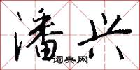 潘兴怎么写好看