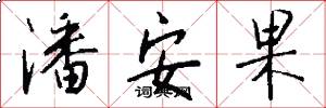 潘安果怎么写好看