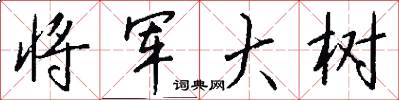 将军大树怎么写好看