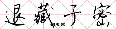退藏于密怎么写好看