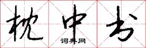 枕中书怎么写好看