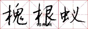 槐根蚁怎么写好看