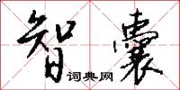 智囊怎么写好看