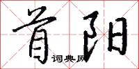 首阳怎么写好看