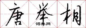 唐举相怎么写好看