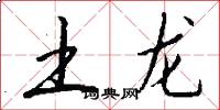 土龙怎么写好看