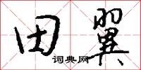 田翼怎么写好看