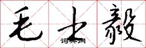 毛士毅怎么写好看