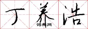 丁养浩怎么写好看