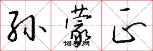 孙蒙正怎么写好看