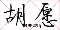 胡愿怎么写好看