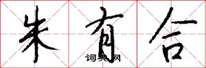 朱有合怎么写好看