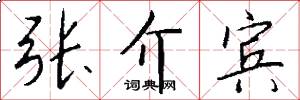 张介宾怎么写好看
