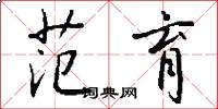 范育怎么写好看