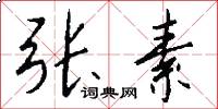 张素怎么写好看