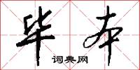 毕本怎么写好看