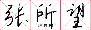 张所望怎么写好看