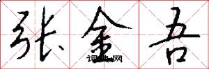 张金吾怎么写好看