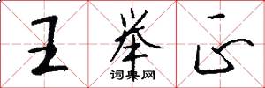 王举正怎么写好看