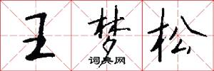 王梦松怎么写好看