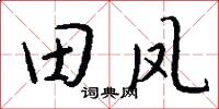 田凤怎么写好看
