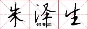 朱泽生怎么写好看