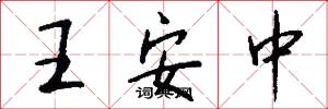 王安中怎么写好看