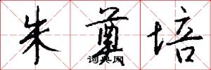 朱奠培怎么写好看