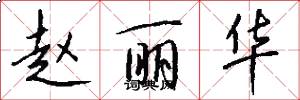 赵丽华怎么写好看