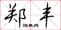郑丰怎么写好看