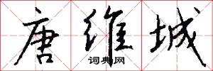 唐维城怎么写好看